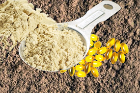 Healing Accelerator™